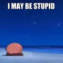 stupid stupid