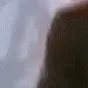 rickroll9