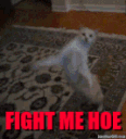 1ad_fightmehoe