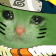 sad_naruto_cat Discord emoji