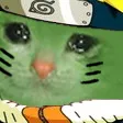 sad_naruto_cat Discord Emoji