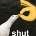 Shut