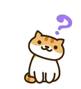 nw_confused