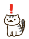 nw_shockedcat