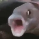 TFL2Pogfish