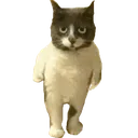 Cato Cato Discord Emoji