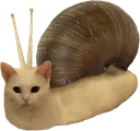 sanil