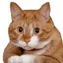 ebanutiy