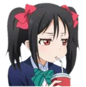 NicoSip