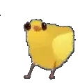 chiken
