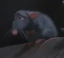 ratsad ratsad
