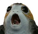 porg