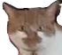 deykin