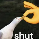 Shut