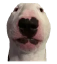 NM_Walter NM_Walter