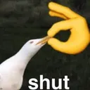 shut