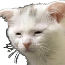 awake Discord emoji