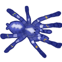 gooty Discord emoji