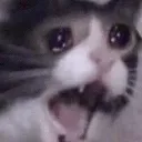 AAAAAA