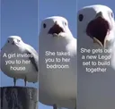 yprffnqkvd651