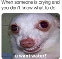 pdzgTykmdXA8gVVKuojNr6rpxjNsuBYw