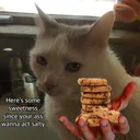 sRsOfIIJBDJQ2JQIVtIPmaq4nxSyZ04z