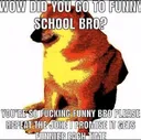 z5v4n8yk0cl41