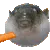 fishballoon fishballoon