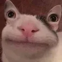 Cat6 cat6 Discord Emoji