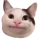 Politecat politecat Discord Emoji
