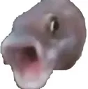 pog_fish