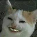 Wowcat wowcat Discord Emoji