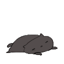 7KittyFall Discord Emoji