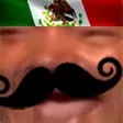 TacSi