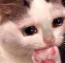 e_