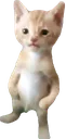 michael michael