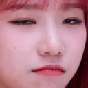 yuriwrapitup