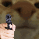 D7_KittyBoom Discord emoji
