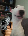 waltergun Discord emoji