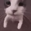 ZcatSniffer7
