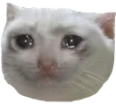Cat Sad Cat_Sad Discord Emoji