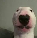 walter_1