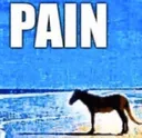 pain
