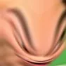 nogis nogis