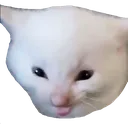 herbert