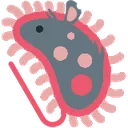 rat_microbe