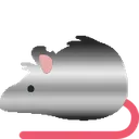 rat_silver