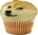 muffindoge