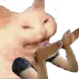 painedmeow