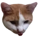 catto